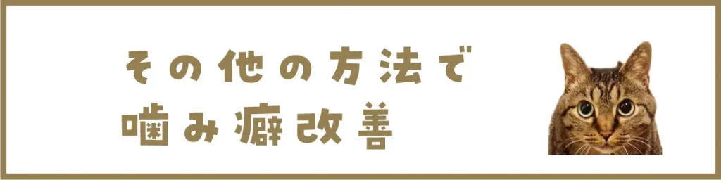 その他の方法で噛み癖改善