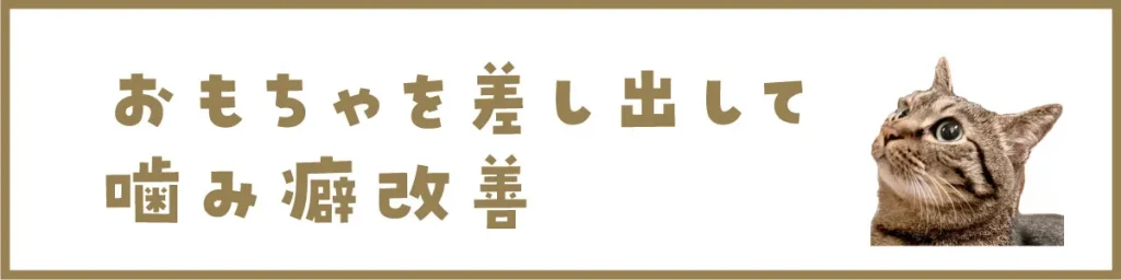 おもちゃを差し出して噛み癖改善