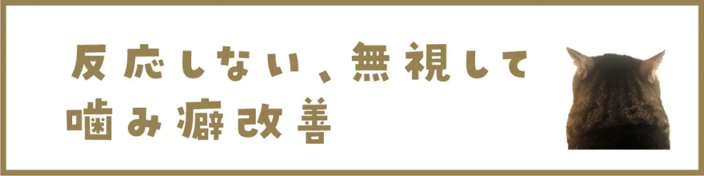 反応しない、無視して噛み癖改善