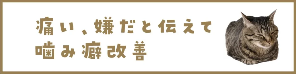 痛い、嫌だと伝えて噛み癖改善