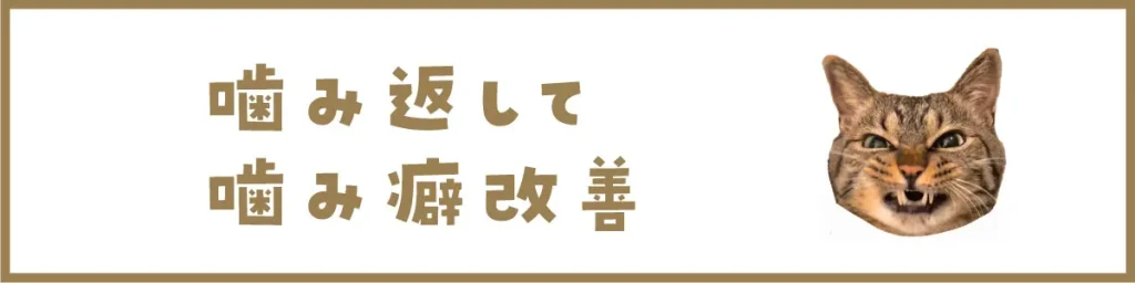 噛み返して噛み癖改善