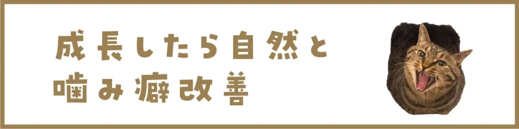 成長したら自然と噛み癖改善