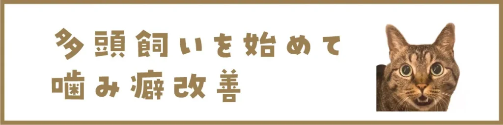 多頭飼いを初めて噛み癖改善