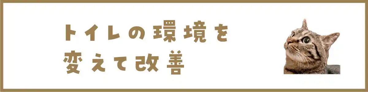 トイレの環境を変えて改善