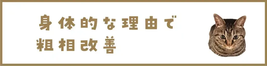 身体的な理由で粗相改善