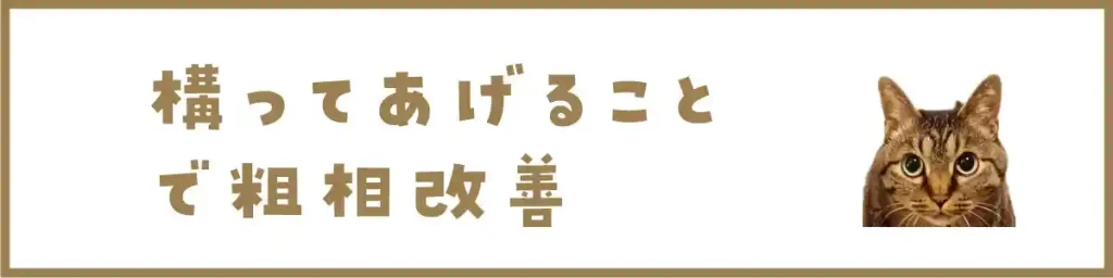 構ってあげることで粗相改善