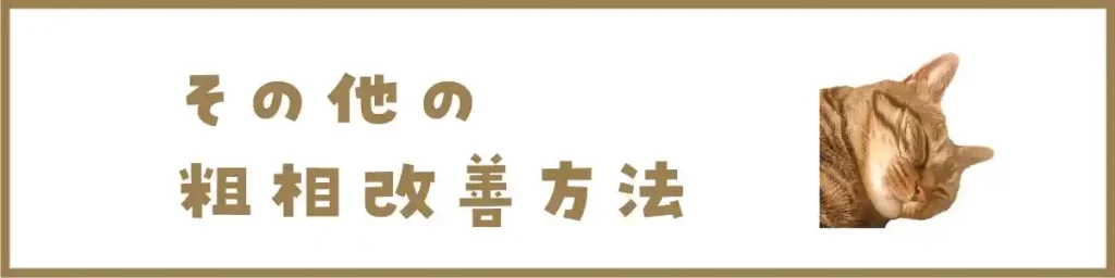 その他の粗相改善方法