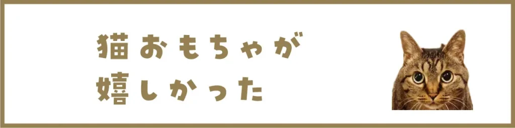 猫おもちゃが嬉しかった