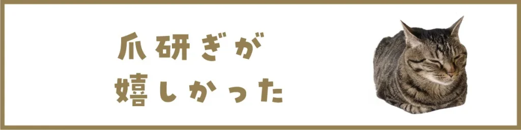 爪研ぎが嬉しかった