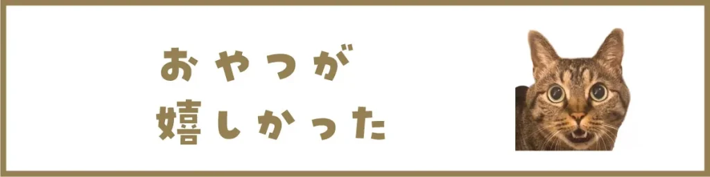 おやつが嬉しかった