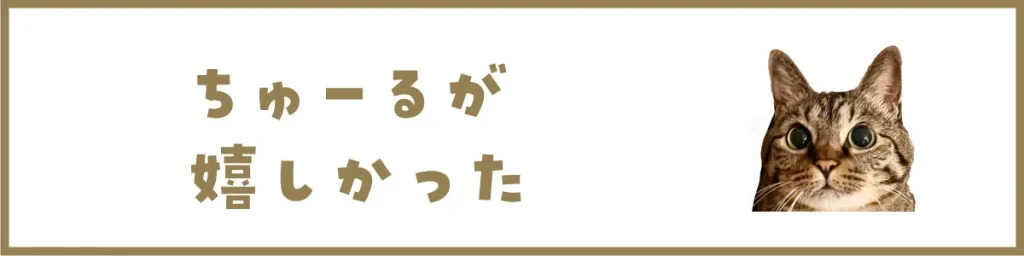 ちゅ〜るが嬉しかった