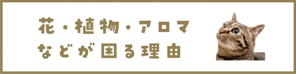 花・植物・アロマなどが困る理由