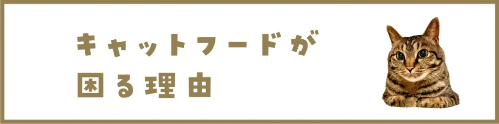 キャットフードが困る理由