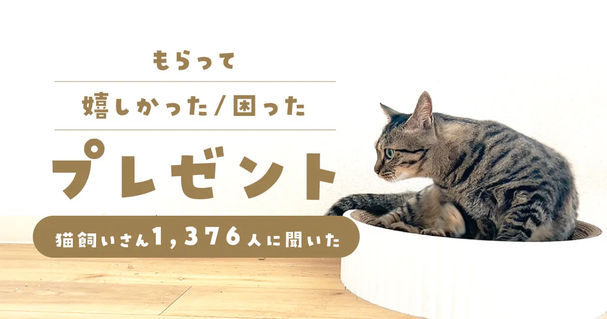 猫飼いさんがもらって嬉しかったプレゼント