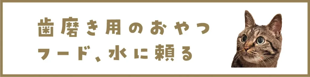 歯磨き用のおやつ、フード、水に頼る