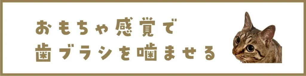 おもちゃ感覚で歯ブラシを噛ませる