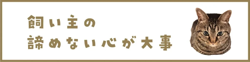 飼い主の諦めない心が大事