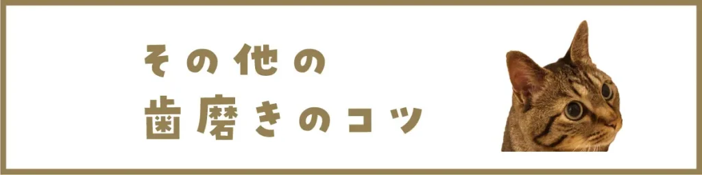 その他の歯磨きのコツ