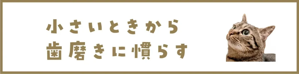 小さいときから歯磨きに慣らす