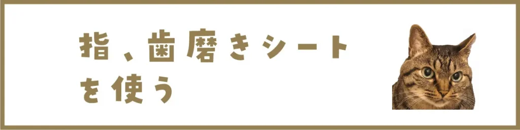 指、歯磨きシートを使う