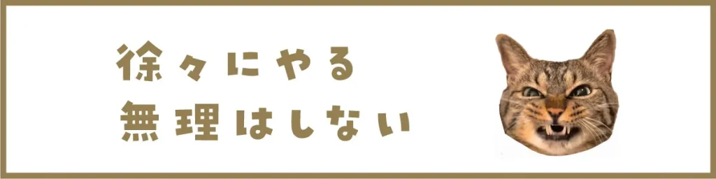 徐々にやる、無理はしない