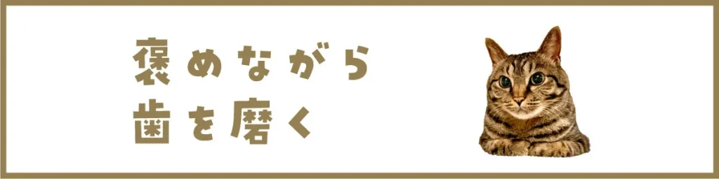 褒めながら歯を磨く