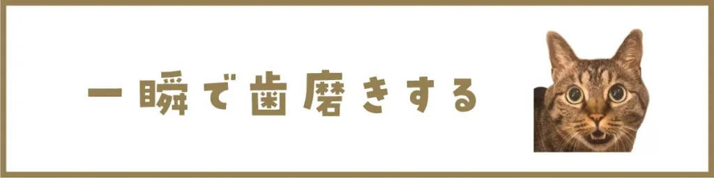 一瞬で歯磨きする