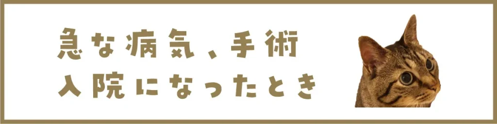 急な病気、手術、入院になったとき