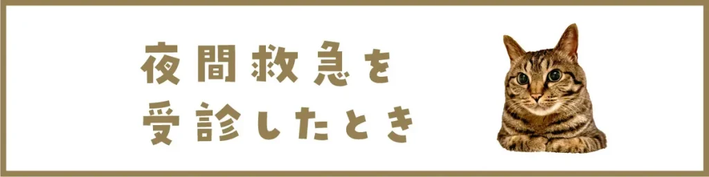 夜間救急を受診したとき