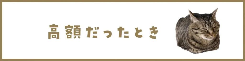 高額だったとき